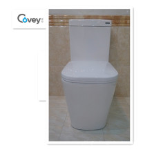 One-Piece Toilet with S-Trap&P-Trap Popular in Australia (A-6014)